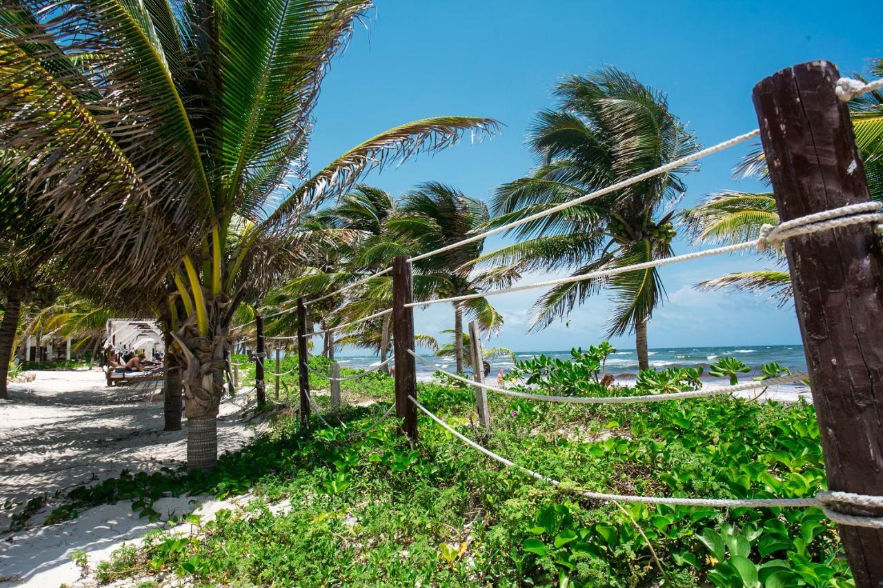 Hotel Cabana Los Lirios Tulum Kültér fotó